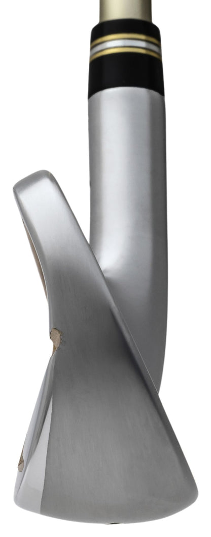 Honma Beres 09 4 Stars Irons for Men